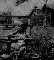Chawley P. Williams Family personal photos